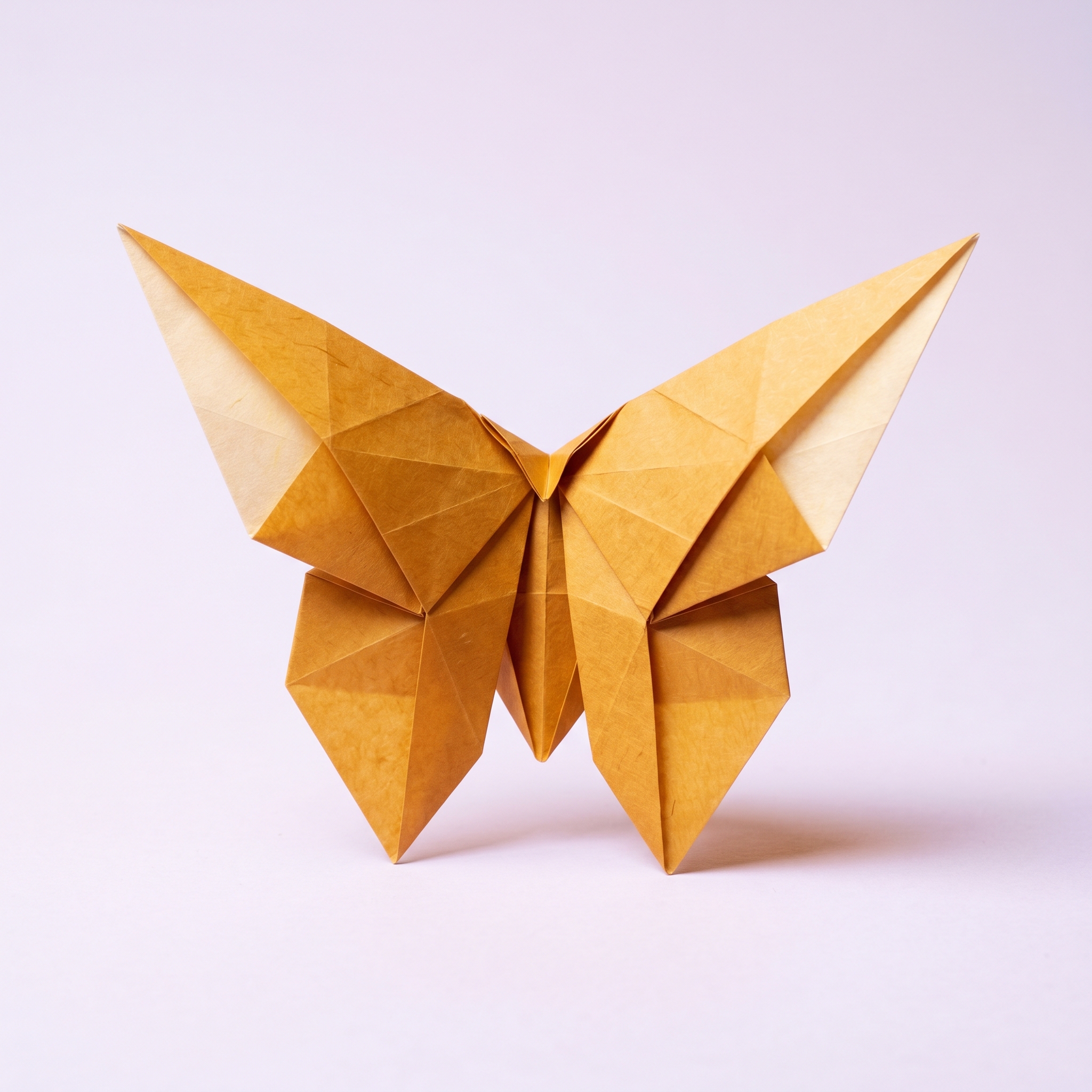 Borboleta