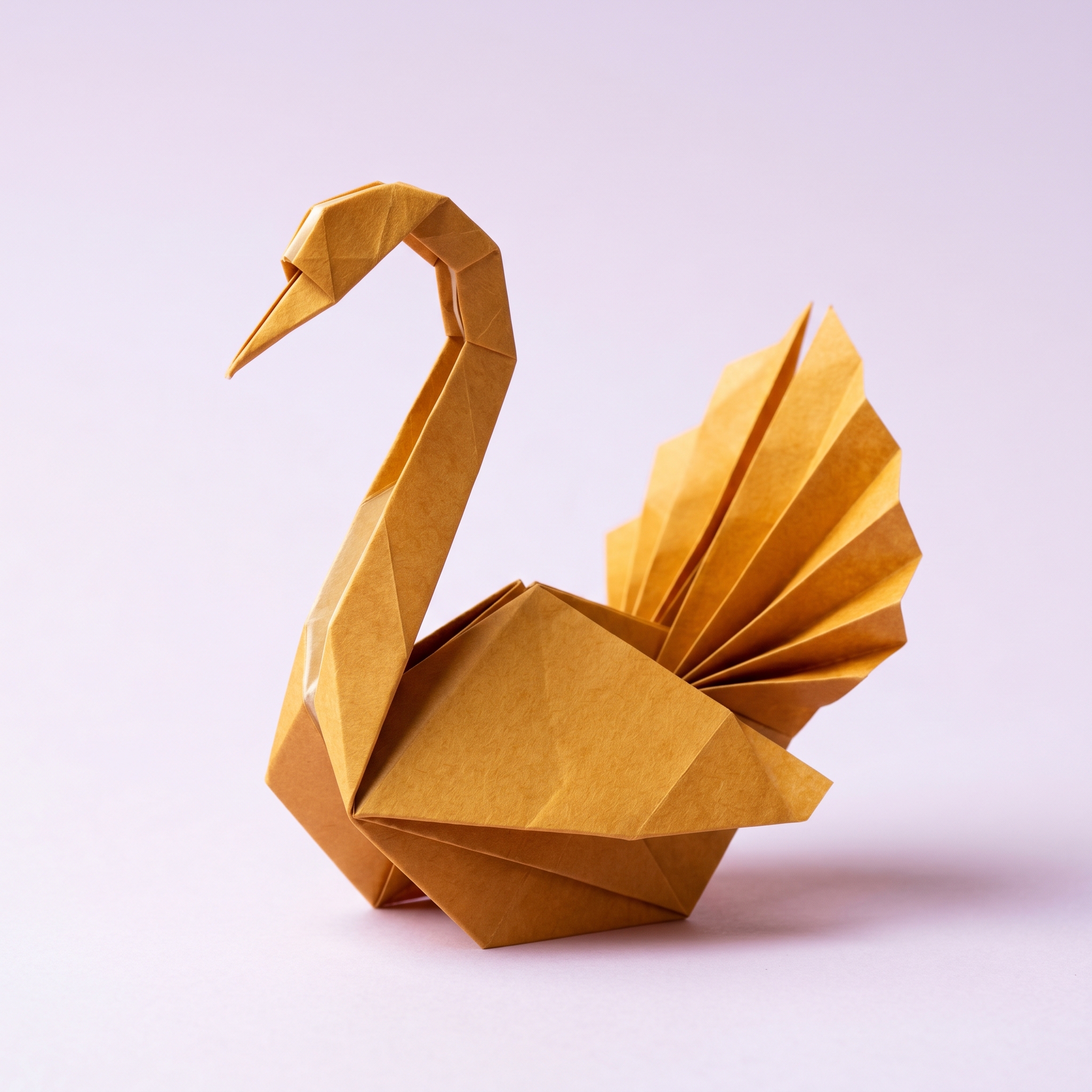 Cisne